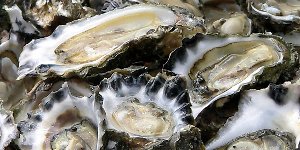 Oysters - an excellent source of dietary zinc