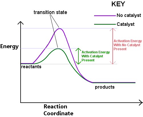 activation energy graph with catalyst
